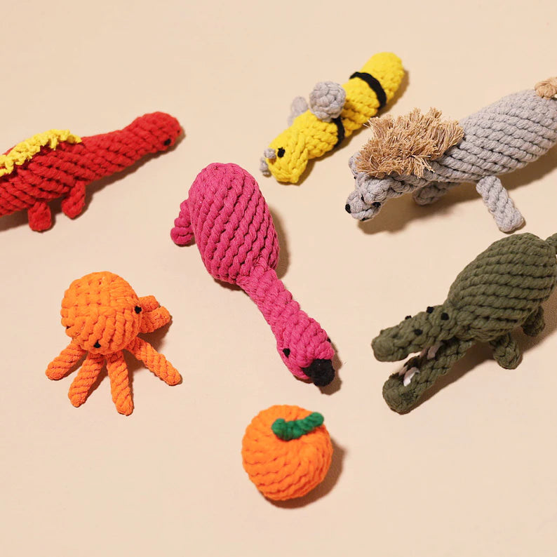 Dog Rope Toys